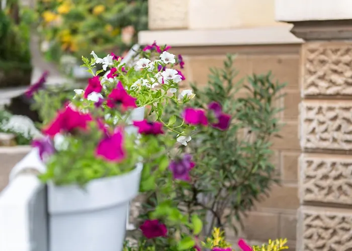 Appartement Vittoria *