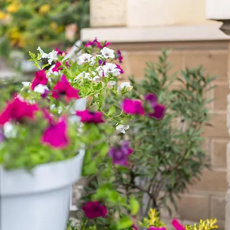 Apartament Vittoria *